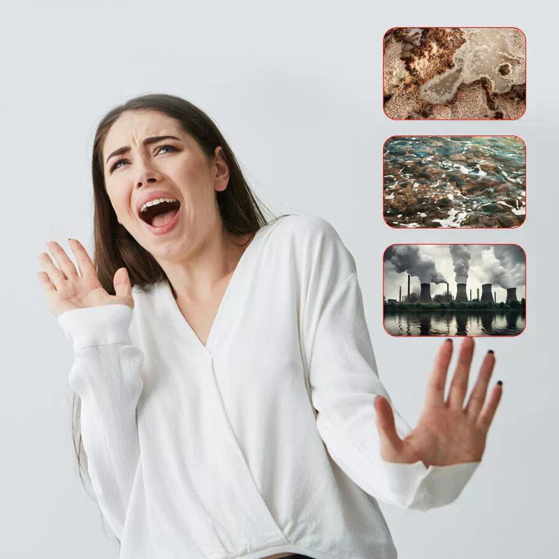 PVZXR🔥 Installation-free Stainless Steel Household Faucet Water Purifier